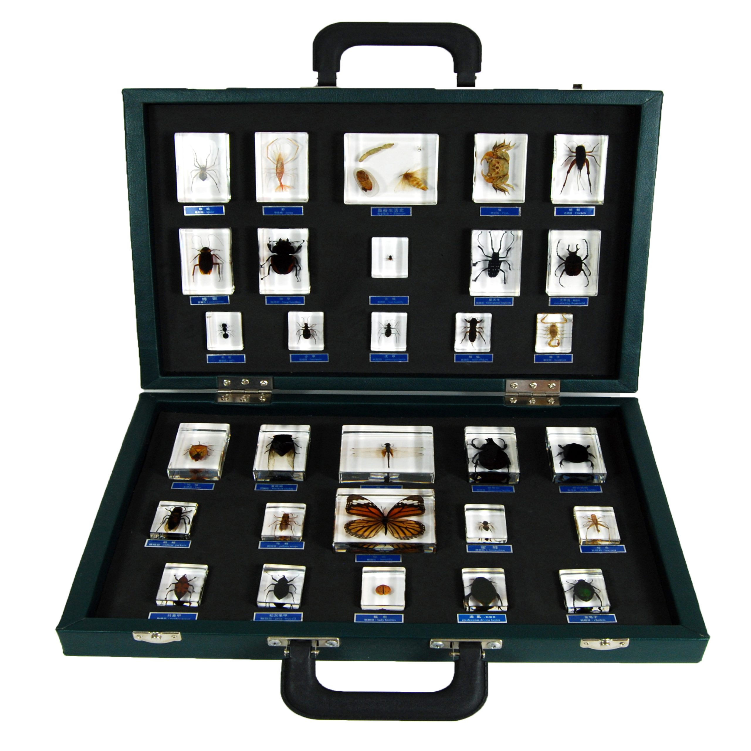 Essential Science Kit EduSupplies