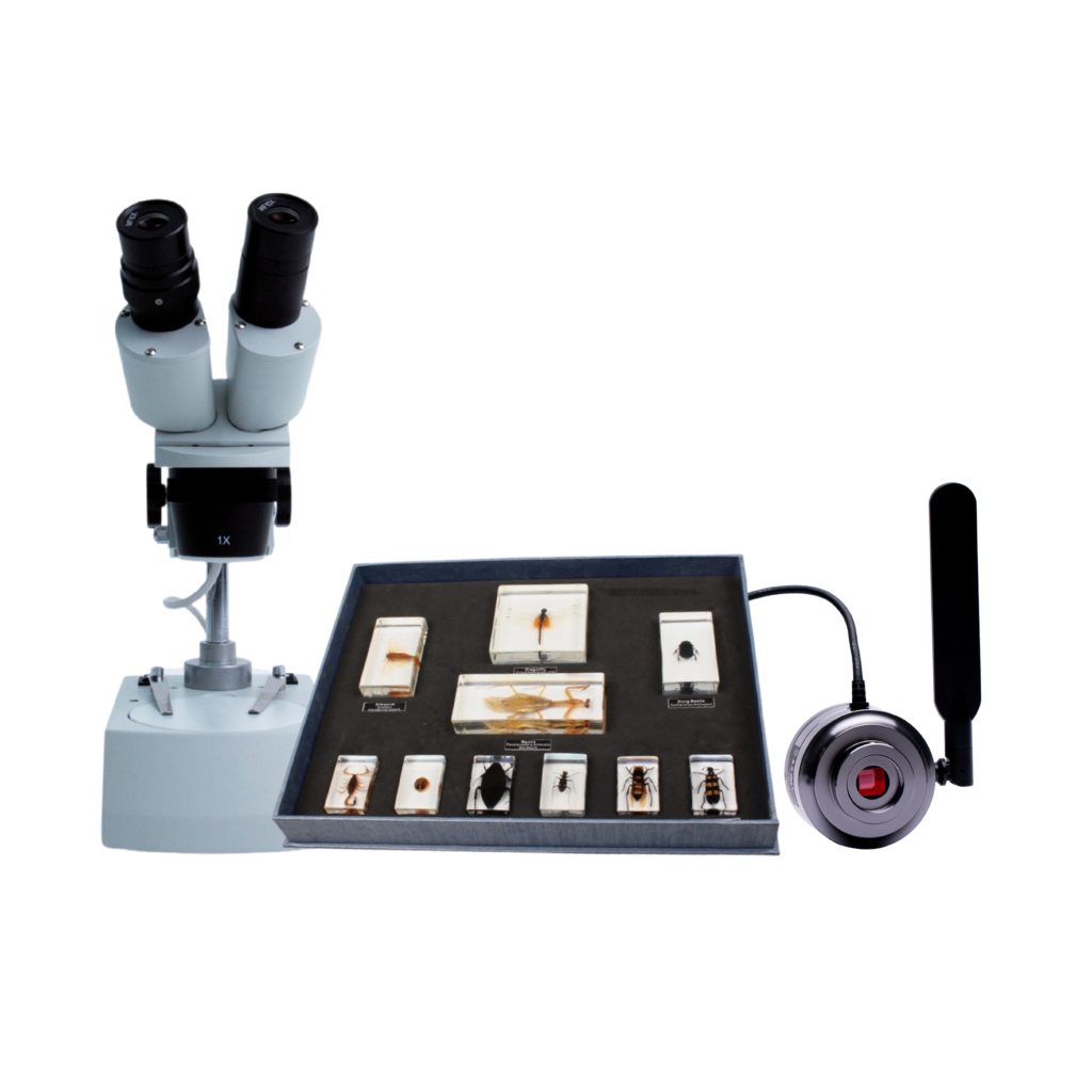 Premium Science Kit - B | EduSupplies