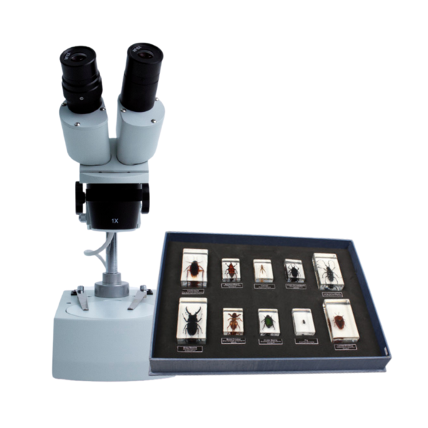 Essential Science Kit - A