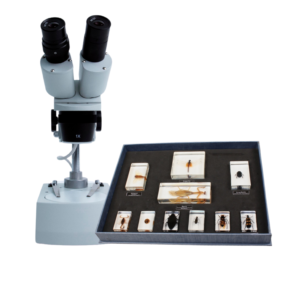 Essential Science Kit - B